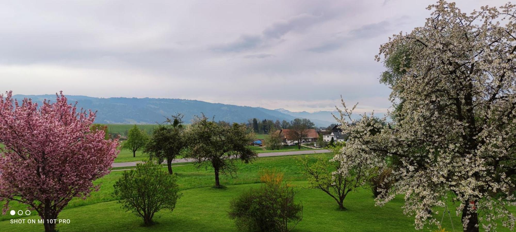 Gaestehaus Fechtig Hergensweiler ภายนอก รูปภาพ